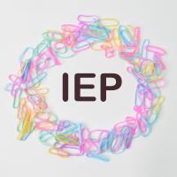 IEP encircled by colored paperclips
