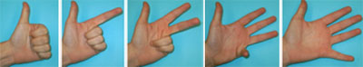 Photo of fingers counting to five