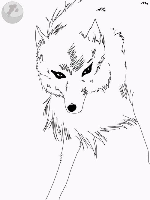 Kiba from Wolf's Rain