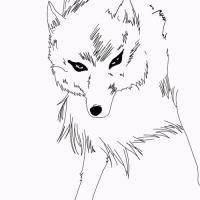 Kiba from Wolf's Rain
