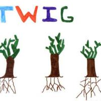 Twig